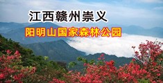 黄色日逼逼